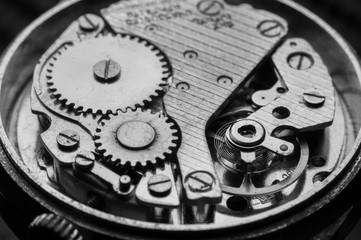 Gears and mainspring in the mechanism of watch.