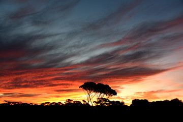 sunset in the Australian desert