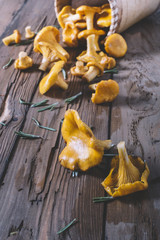 Chanterelles on vintage wooden background top view, healthy food on table mockup, orange mushrooms isolated on rustic country board, fresh forest nutrition mock up closeup, copy space for text