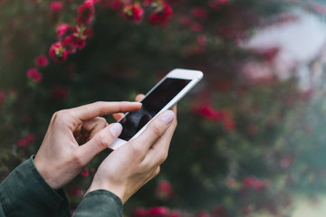 Hipster texting on smartphone or technology, mock up of blank screen. Girl using cellphone on red flowers background. Hands holding gadget on blur. Mockup front view, space for text message