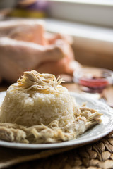 Traditional Turkish chicken on a rice (tavuklu pilav).