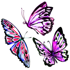 butterflies design
