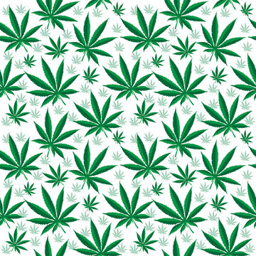 Medical cannabis seamless texture. Hemp background. wallpaper. Vector illustration © Lucia Fox