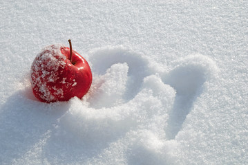 Red apple on snow