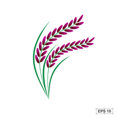 Rice,Riceberry,Vector illustration