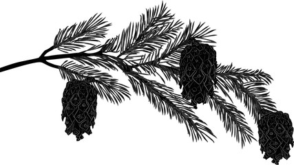 pine tree black branch with three cones illustration
