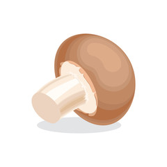 Agaricus, champignon mushroom, colorful vector flat illustration