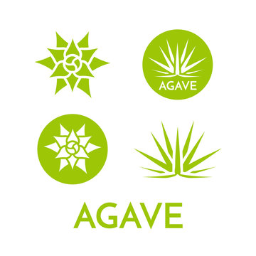 Agave plant green flower logo colorful vector illustration