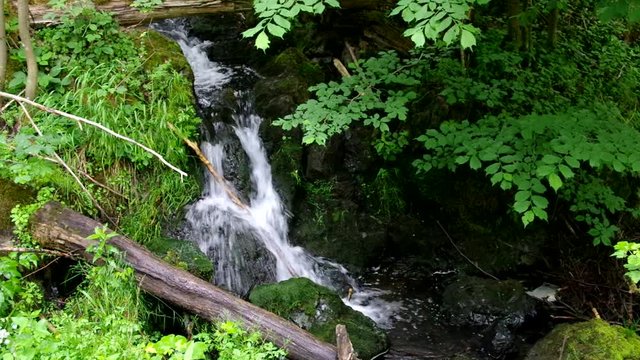 Steinbach im Harz Wasserfall vid 01