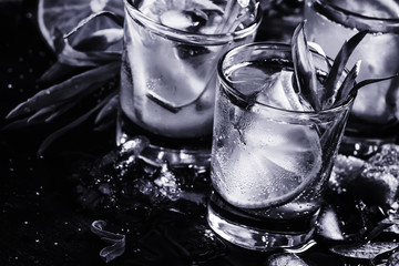 Alcoholic cocktail, imitation of the old photos, black and white