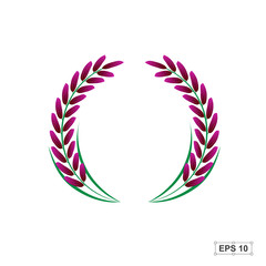 Obraz premium Rice,Riceberry,Vector illustration