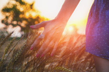 Girl relaxing in a wheat-field.