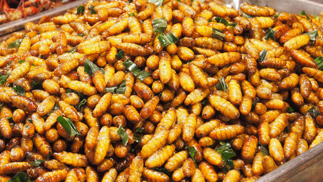 fried silkworms