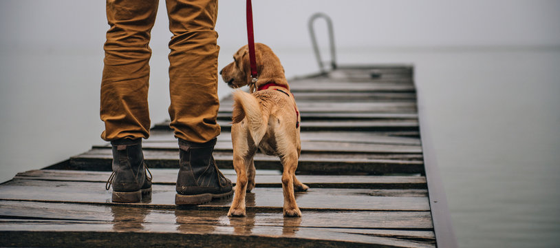 Dog and his owner standing on old wooden dock