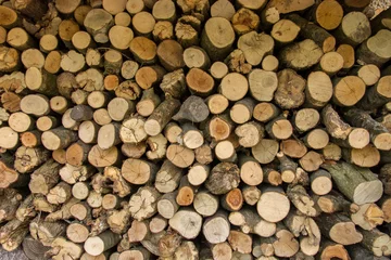 Möbelaufkleber Logs stacked after trees have been felled. Cross section of the timber, firewood stack © jazzygeoff