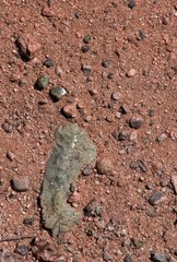 Glassy melted stone created by the world's first atomic explosion.