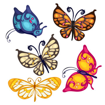 Five colorful beautiful butterfly, vector insect