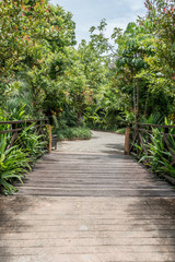 Small wooden bridge in garden