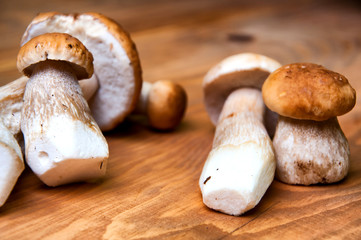 Mushrooms boletus on wooden table with copyspace