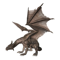 Fototapeta premium 3D renderowania Fantasy Dragon na białym tle