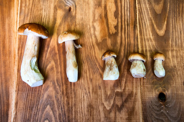 Mushrooms boletus on wooden table