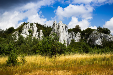 Climbing area in Poland