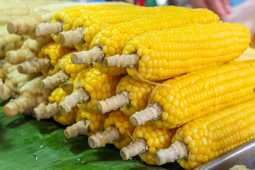 Beautiful boiled corn in market bangkok Thailand