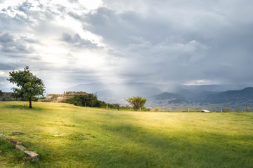 Tree and mountainous landscape by Hierve el agua hot springs near Oaxaca, Mexico
