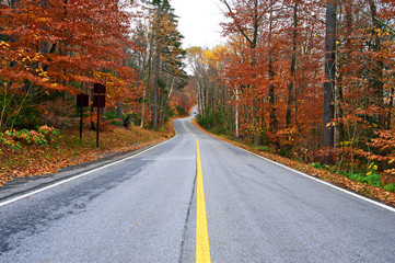 Obraz premium Autumn scene with road