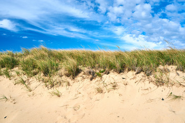 Landscape with sand dunes at Cape Cod