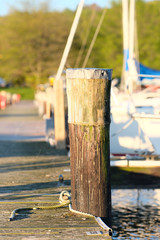 Fototapeta premium Marina on Lake Cayuga