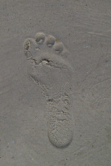 Fototapeta na wymiar Foot print on sand