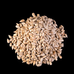 Sunflower seed kernels Sunflower seeds on black background