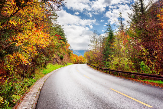 Scenic road among colorful fall woods. Amazing autumn landscape