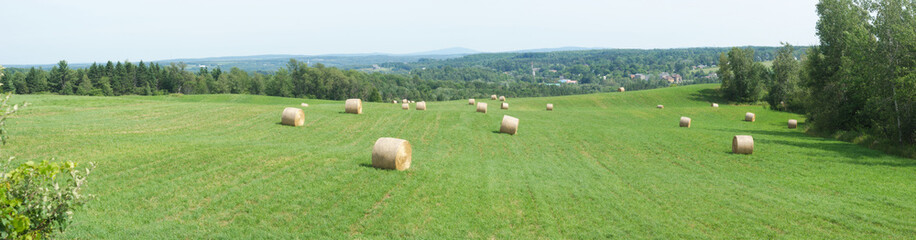 hay bale panoramic green field rural landscape
