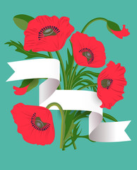 bouquet of poppies with leaves and white ribbon on green backgro