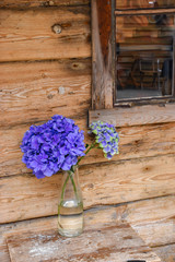 Blue Hortensia flower in glass vase.
Wooden cottage wall with window in background.