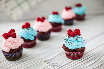 colored Cupcakes sweet