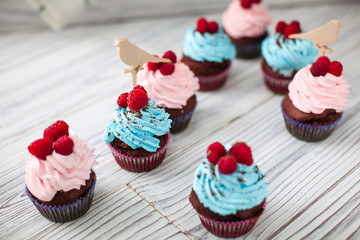 colored Cupcakes sweet