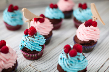 colored Cupcakes sweet