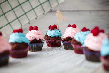 colored Cupcakes sweet