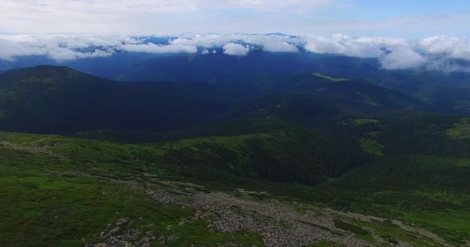 Flying over the clouds. Aerial view of  Carpathian mountains, ridges covered fir trees, meadows, slopes with stones in cloudy morning. 