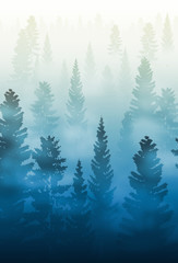 misty forest landscape, foggy forest landscape - 116418608