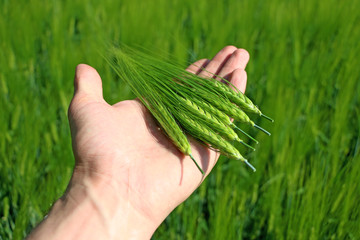 Keep your hand in the field of ear