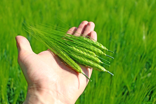 Keep your hand in the field of ear