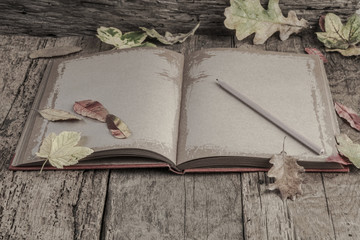 an empty and opened notebook on wooden table decorated with autumn leaves
