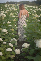 young beautiful woman in the warm rays of the evening sun walking on a green field with white flowers.