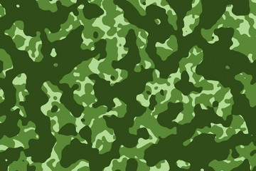 Green Camouflage Texture
