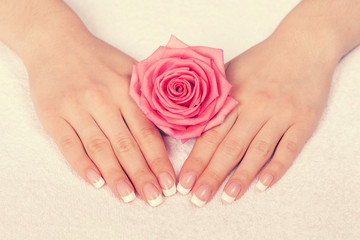 Beautiful female hands with french manicure near rose