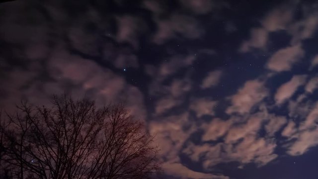 Zeitraffer - Sternhimmel mit Wolken und Baum im Vordergrund